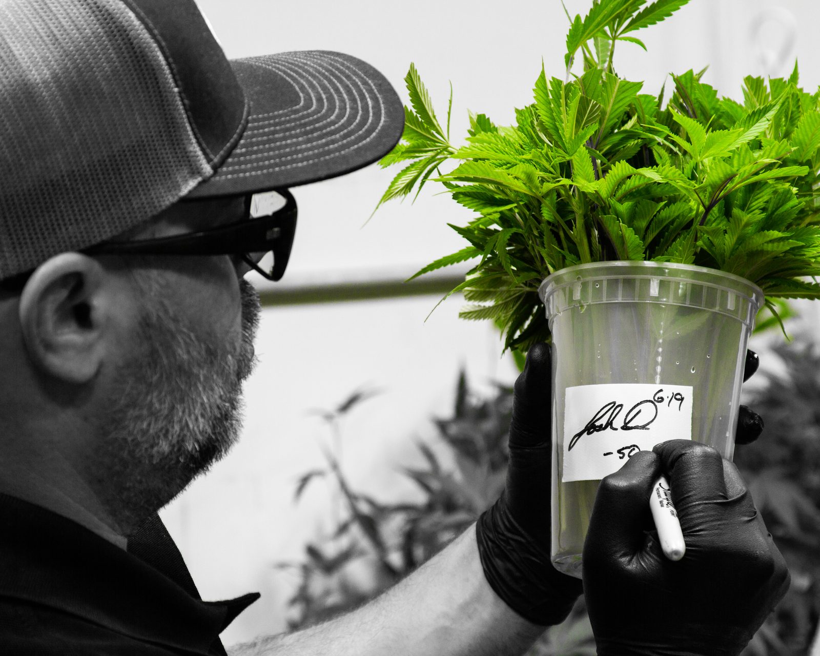 Josh D holding a signed and labeled clone cup