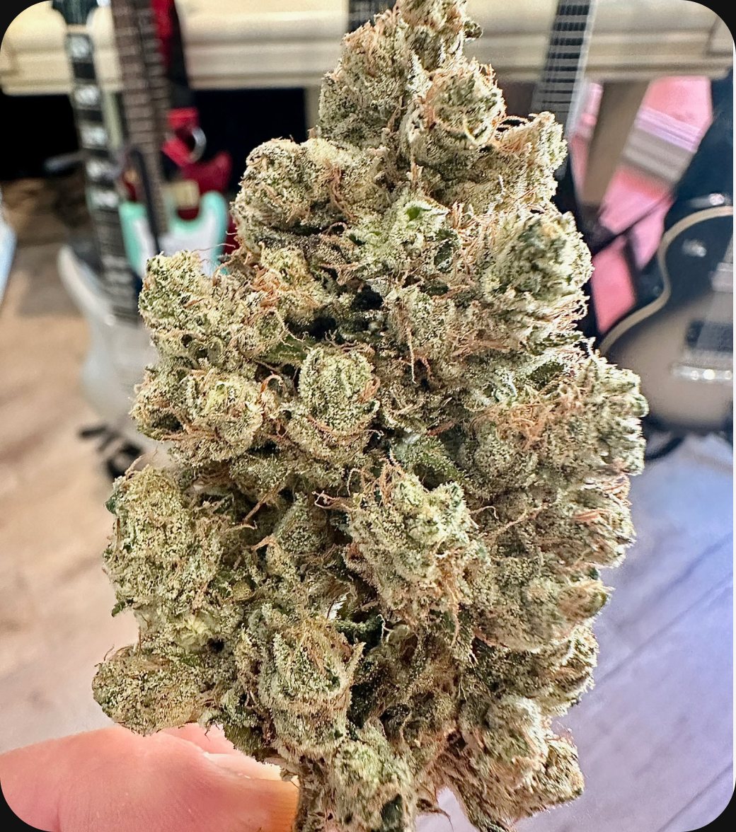 Skull Crusher - flower