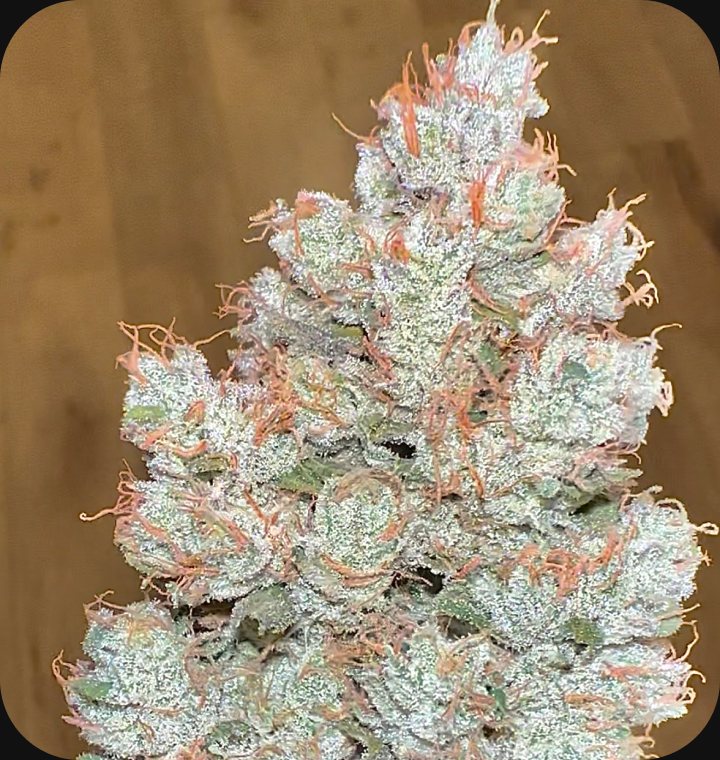 Skull Crusher - flower