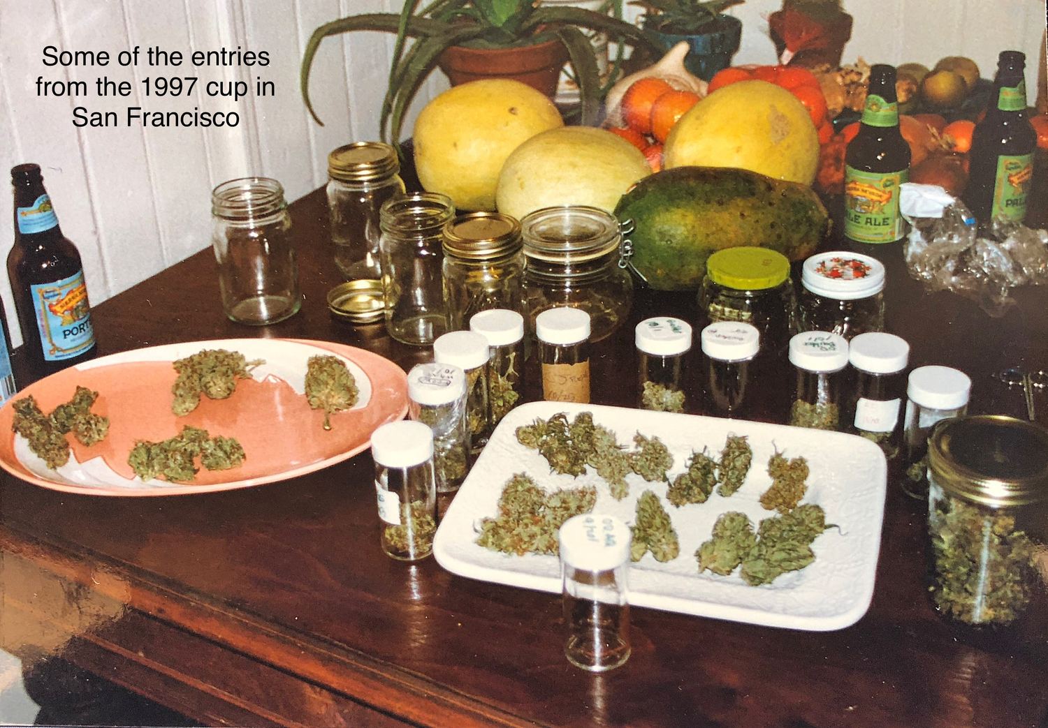 OG Kush archive photo H-08, awaiting Josh's annotation