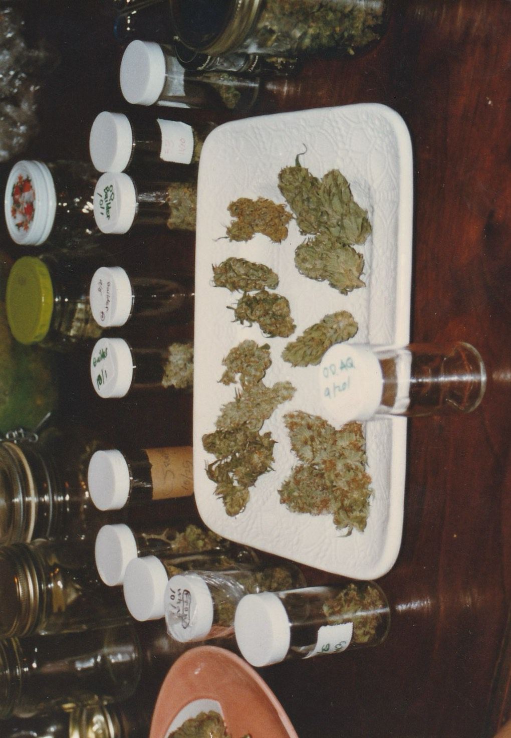 OG Kush archive photo P-083, awaiting Josh's annotation